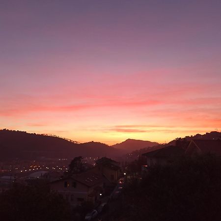 Il Glicine Cozy Appartamnent, Near Sestri Levante Between Cinque Terre E Portofino 卡萨察利古勒 外观 照片