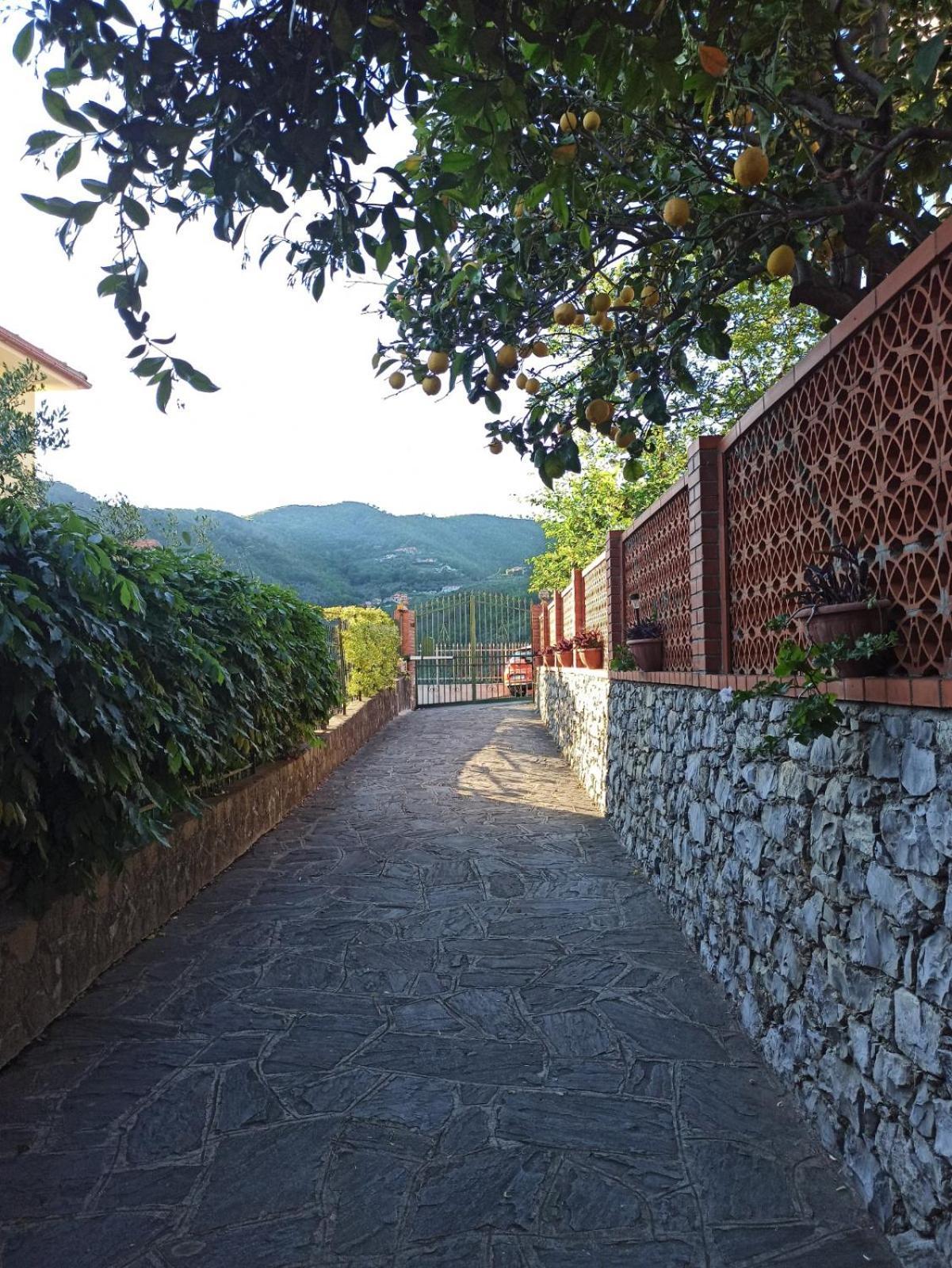 Il Glicine Cozy Appartamnent, Near Sestri Levante Between Cinque Terre E Portofino 卡萨察利古勒 外观 照片